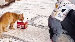 Entertainment