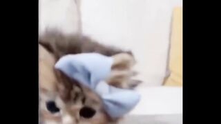 Very funny video ☺
