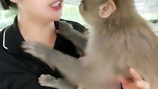 Cute animals