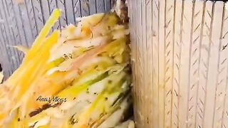 Must watch and Fallow me #febspot #viral