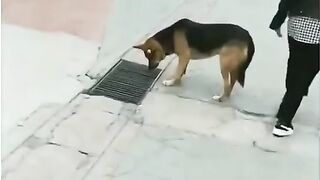 Amazing video watch b must