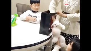 Dog funny video | comedy video|