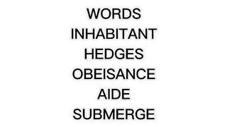Quick words understanding