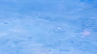Very funny video watch ????????