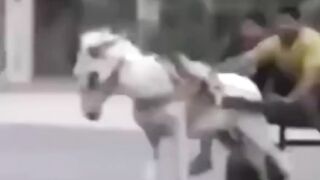 Hahah So funny video???? #funnyvideos