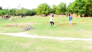 Must Watch Special Challenging New Comedy Video Amazing Funny Video 2021 Episode 123 Busy Fun Ltd