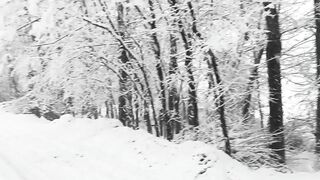 Snowfall in Kashmir