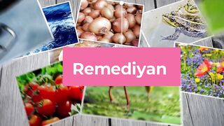 Introduction About My Channel|What is remediyan