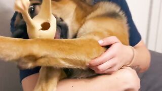 Playing with Kimgsd