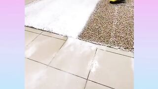 Satisfying And Relaxing Compilation in Tik Tok #41 || Best Oddly Satisfing Video