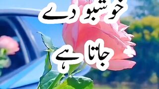 Urdu poetry