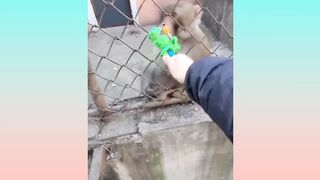 Satisfying and Relaxing Video Compilation in tik tok ep.31 || Oddly Satisfying Video