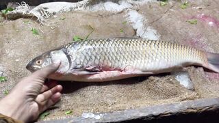 Desi river fish