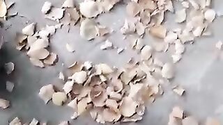 Winter leaves