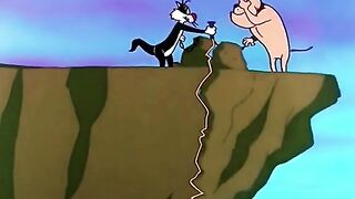 Funny video cartoon