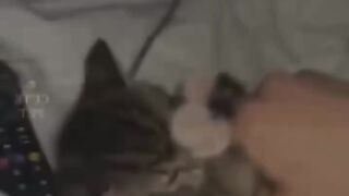 So cute