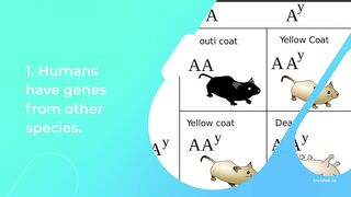 5 Amazing Science Facts Part 3 | Facts Sprite