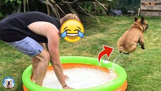 These Dogs Fail At Life In The Most Hilarious Ways