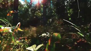 Beauty of nature