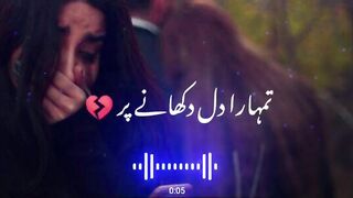 Tumhein hm stany pr utr ay to kia hoga