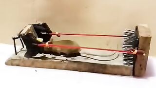 Funniest Short Video