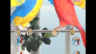 Funny parrot????