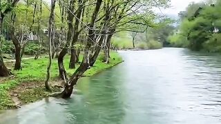 Beautiful Nature