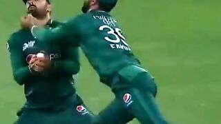 CRICKET FANS