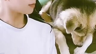 Funny Dog get Angry