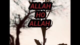 Oh Allah the Almighty. Allah ho Allah. #Aleeha short video clip#