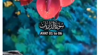Quran Verses