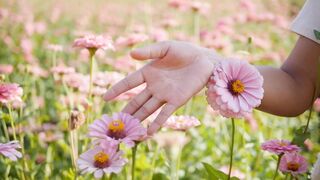 Beautiful Natural Video ????