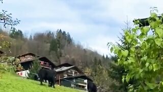 Switzerland