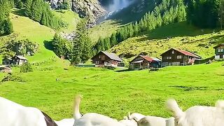 Beautiful place So Nice