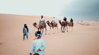 Traveling with camels