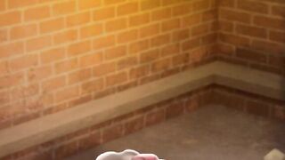 Talking Tom - (New Version from 2023) (All Animations) (Longer Version)