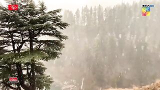 Snow falling