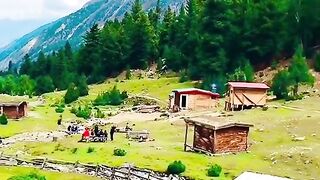My video
