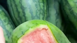 Watermelon ????????????????????????