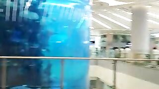Jeddah Airport fish Equarim