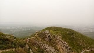 Real Nature View