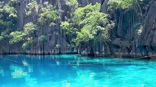 Nature beauty