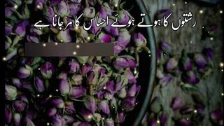 Beautiful Urdu Quotes