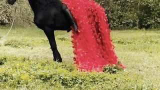 Beautiful Horse Riding .