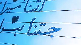 THE BEAUTIFUL HAND WRITING