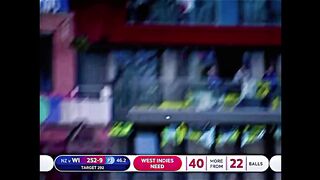 Match Highlights | cricket |nz Vs wi