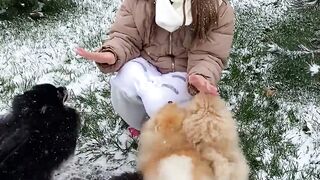Therapeutic Benefits of Spending Time with Pets in the Great Outdoors" #Shorts