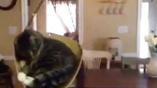Most very funny video☺