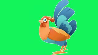 Walking cock animated video