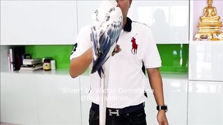 Silver is one of the rarest parrots -macaws- in the world